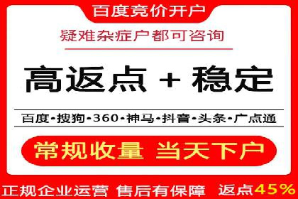 成功SEM服务案例：优化广告投放